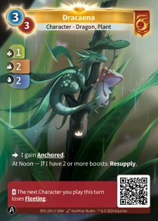 Dracaena