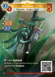 Dracaena