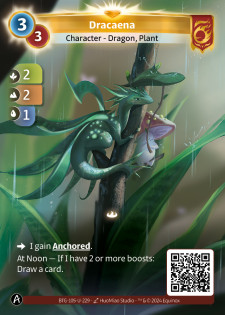 Dracaena