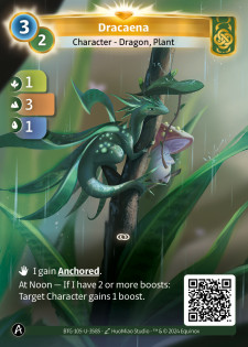 Dracaena