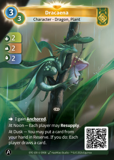 Dracaena