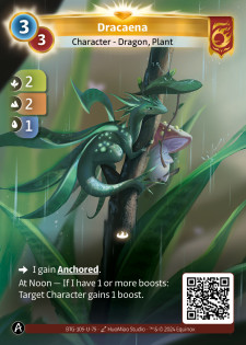 Dracaena