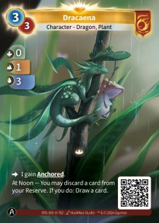 Dracaena
