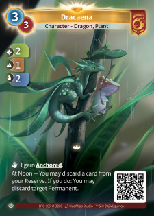 Dracaena