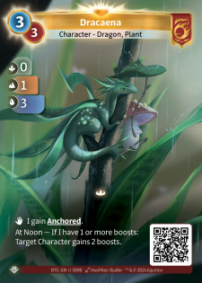 Dracaena