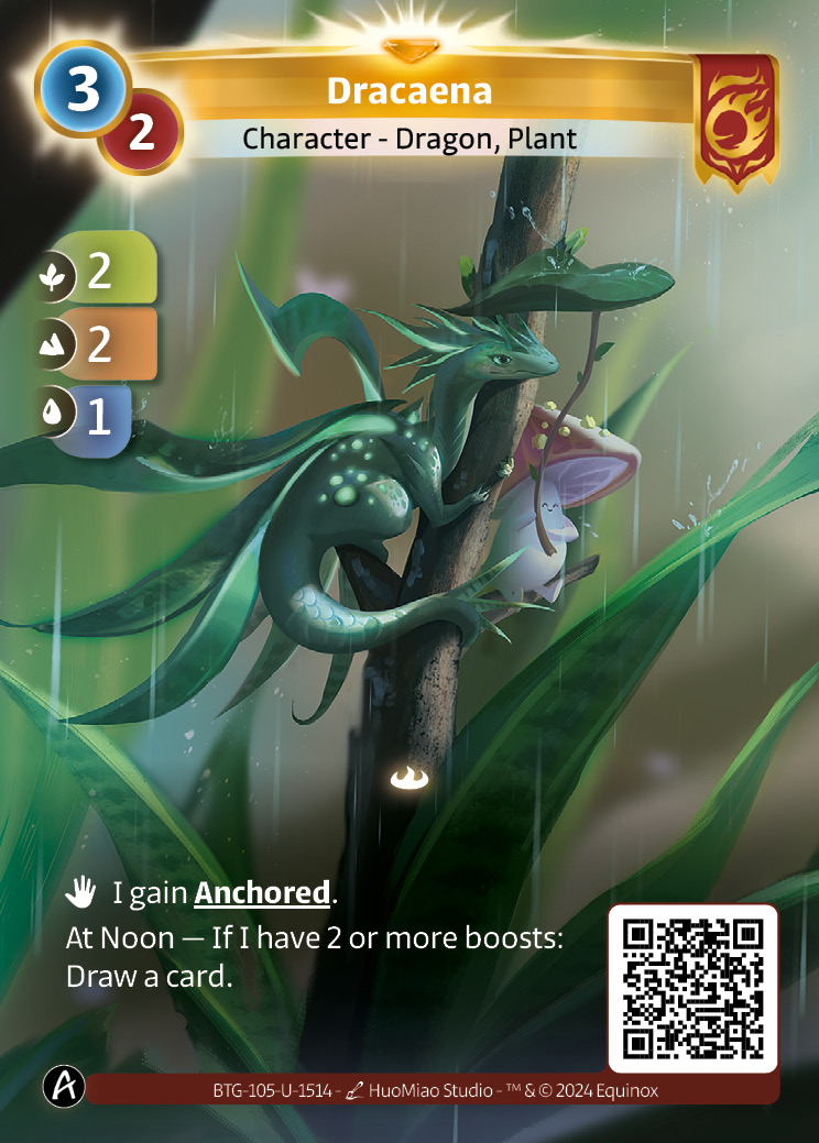 Dracaena