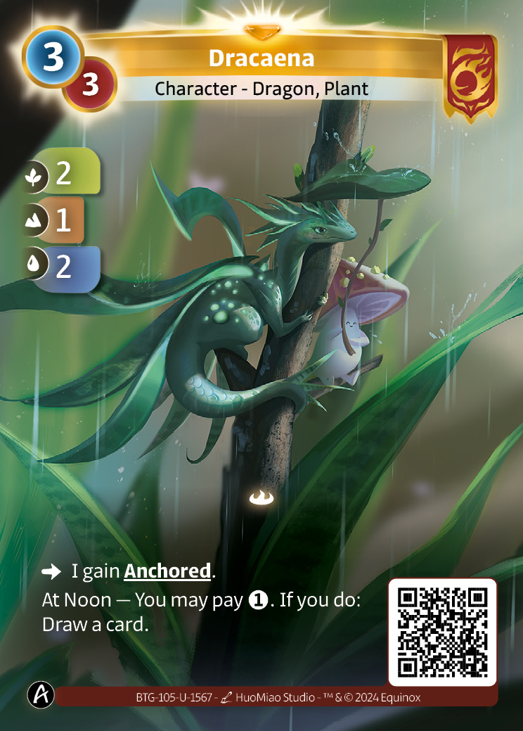 Dracaena