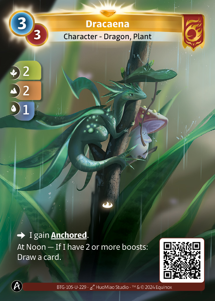 Dracaena