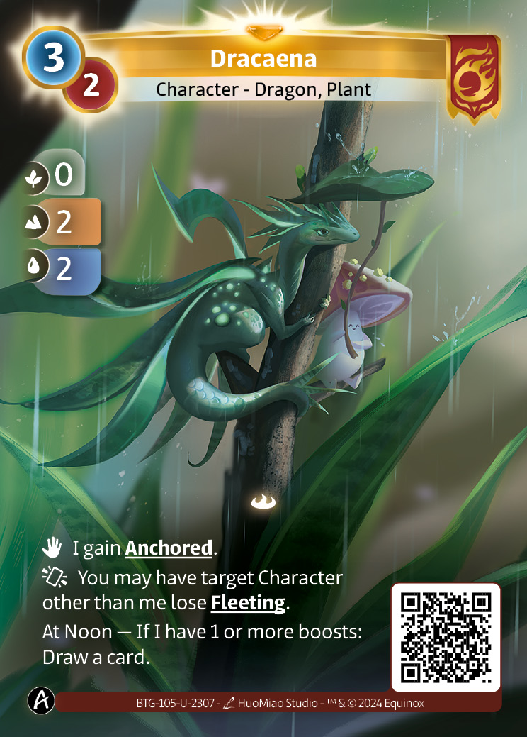 Dracaena