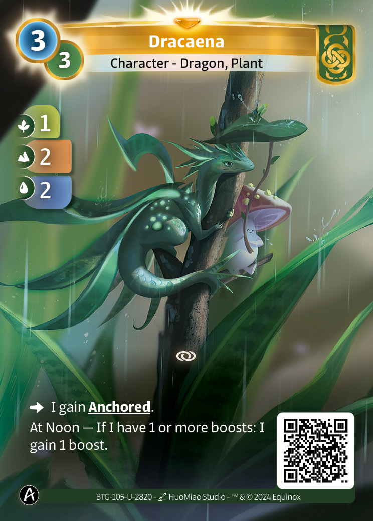 Dracaena