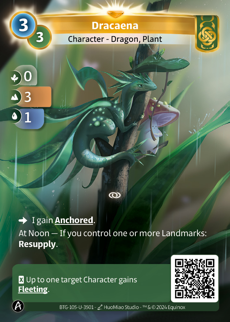 Dracaena