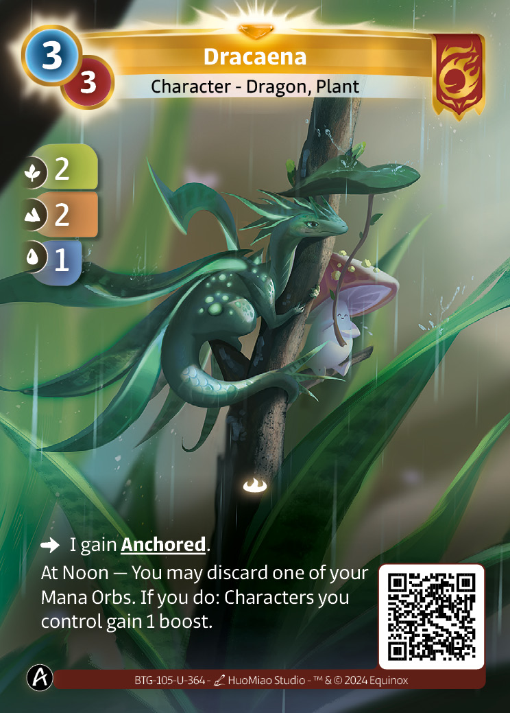 Dracaena