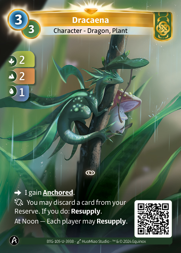 Dracaena
