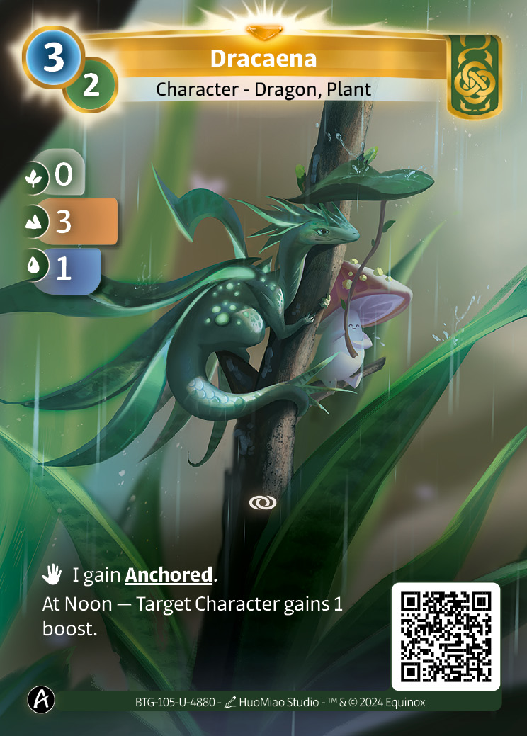 Dracaena