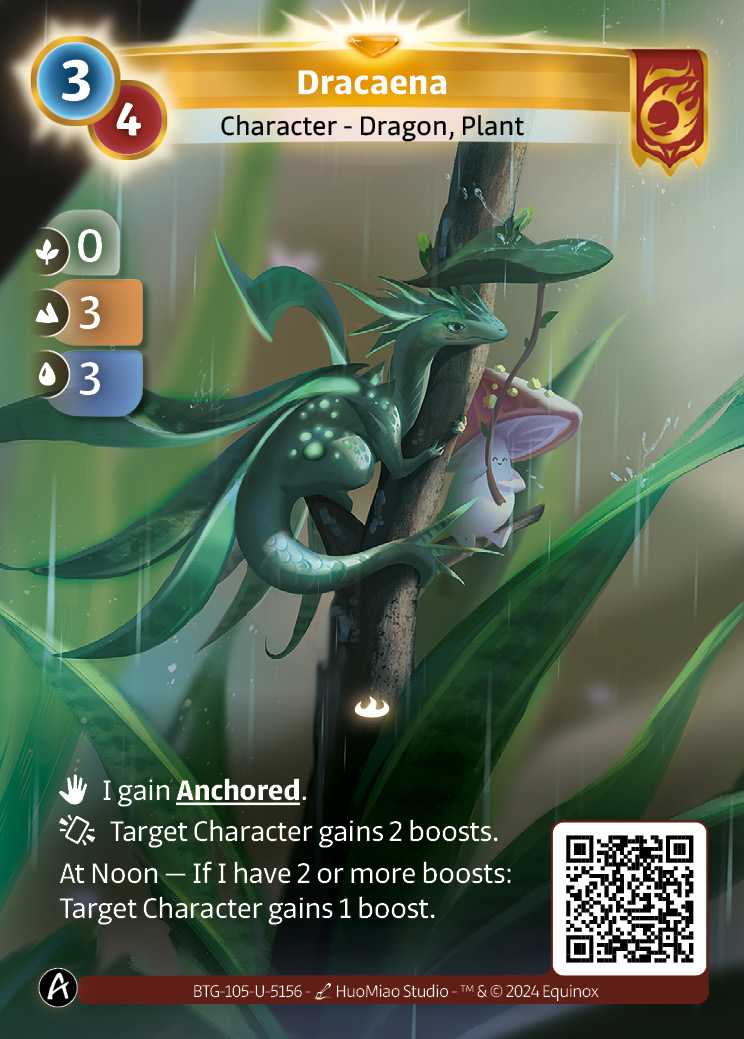 Dracaena