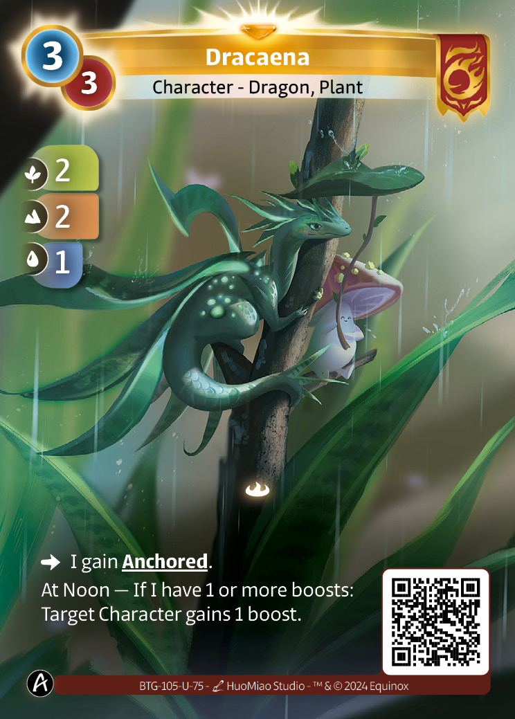 Dracaena