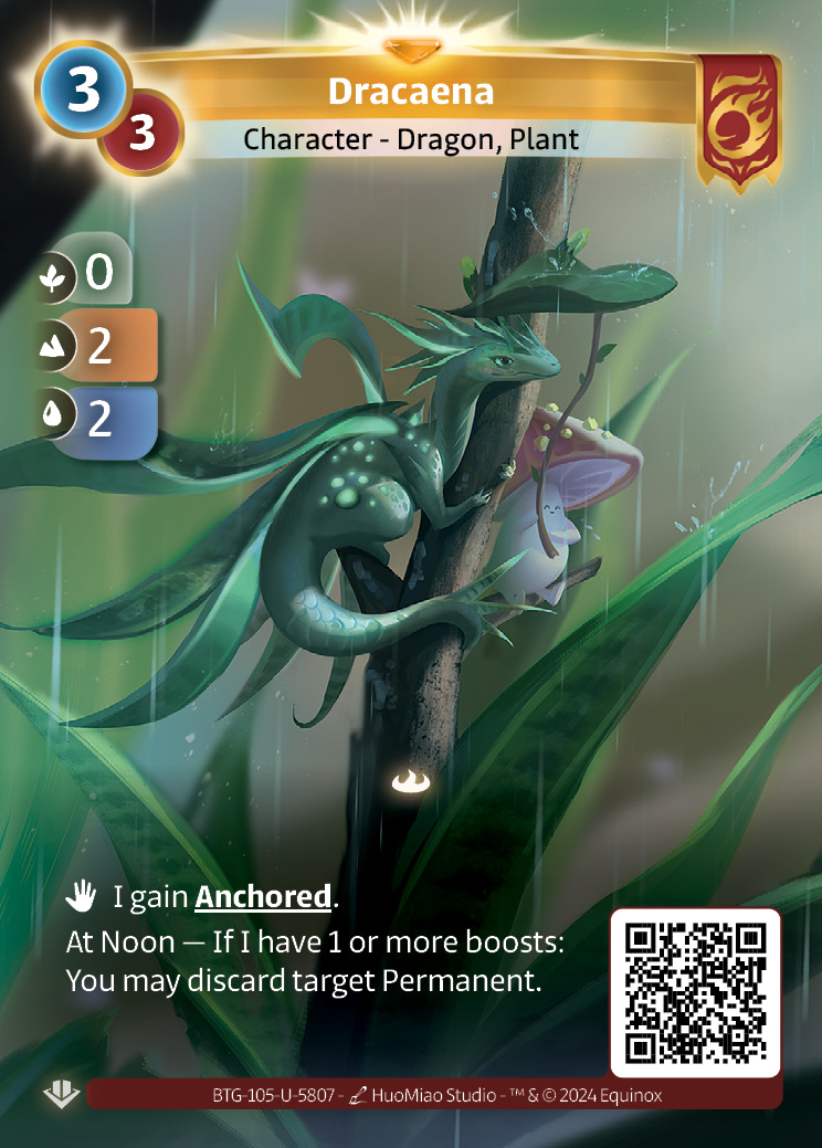Dracaena