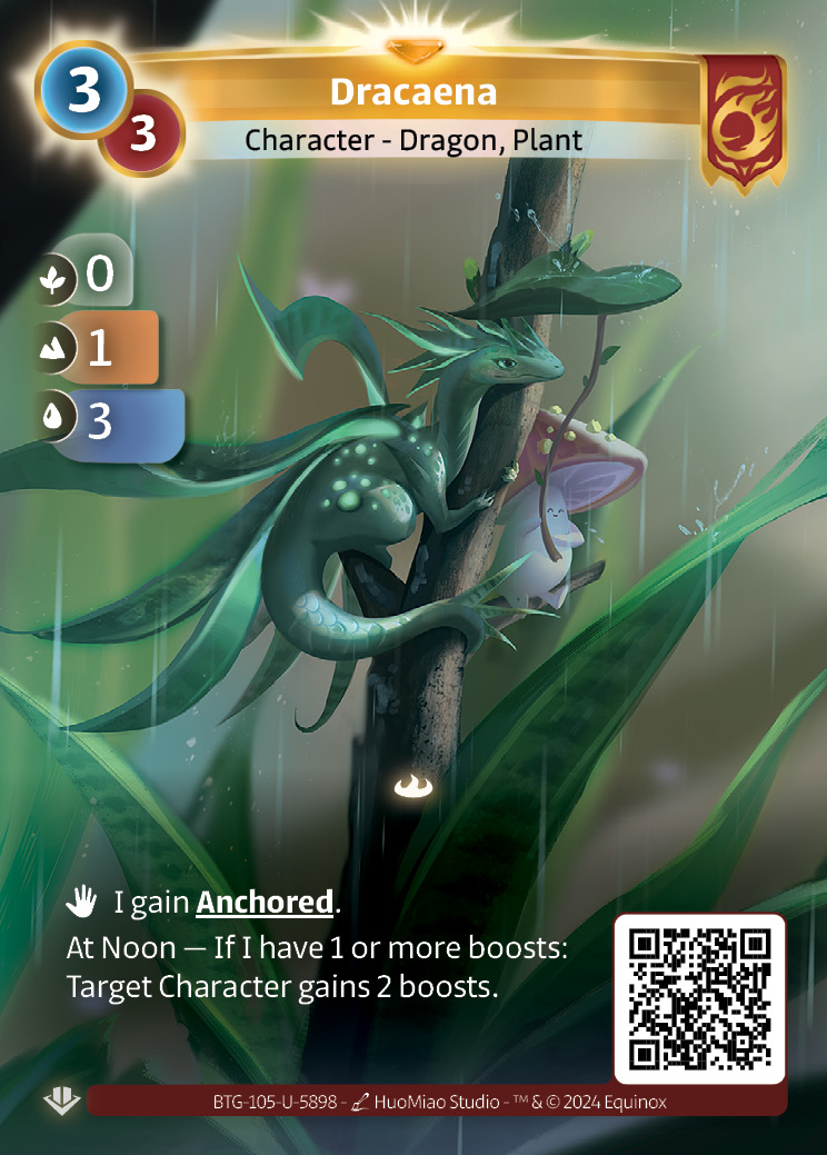 Dracaena